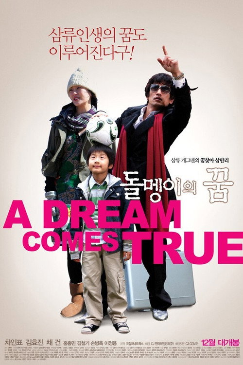 돌멩이의 꿈 — постер