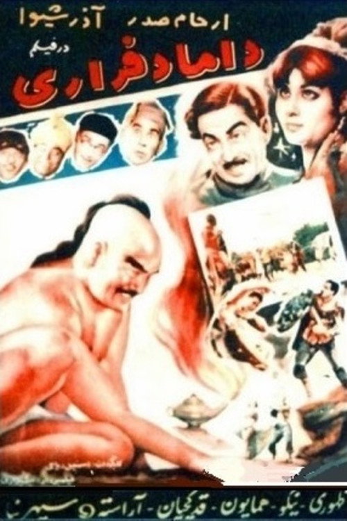 داماد فراری — постер