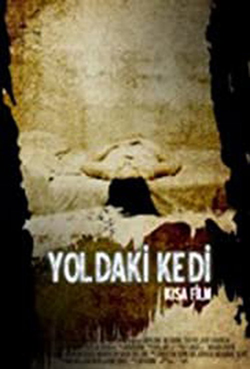 Yoldaki Kedi — постер