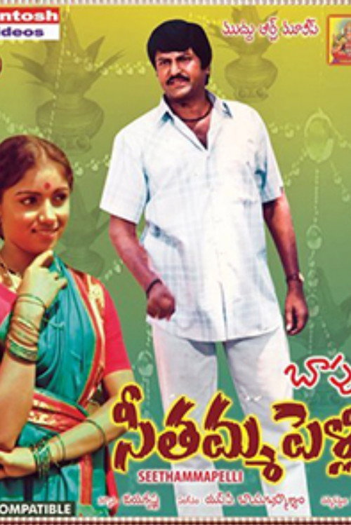 సీతమ్మ పెళ్ళి — постер