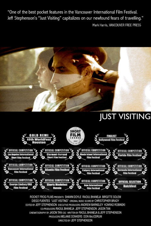 Just Visiting — постер