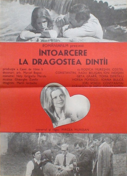 Întoarcere la dragostea dintâi — постер
