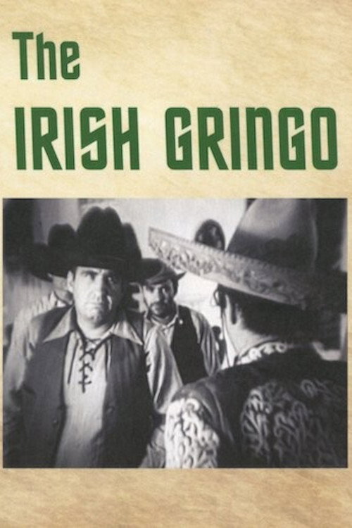 The Irish Gringo — постер