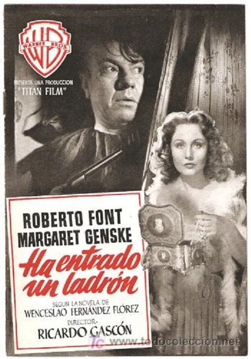Ha entrado un ladrón — постер