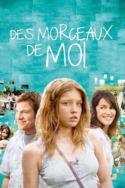 Des morceaux de moi — постер