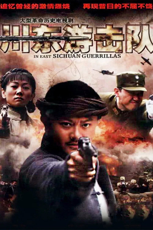 川东游击队 — постер