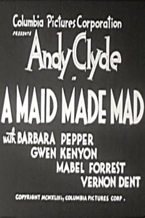 A Maid Made Mad — постер
