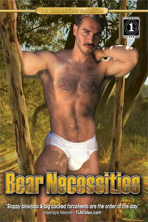 Bear Necessities — постер