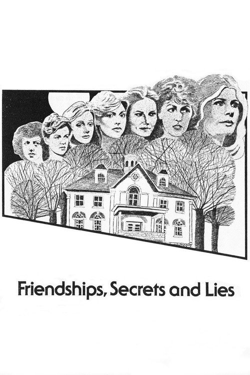 Friendships, Secrets and Lies — постер