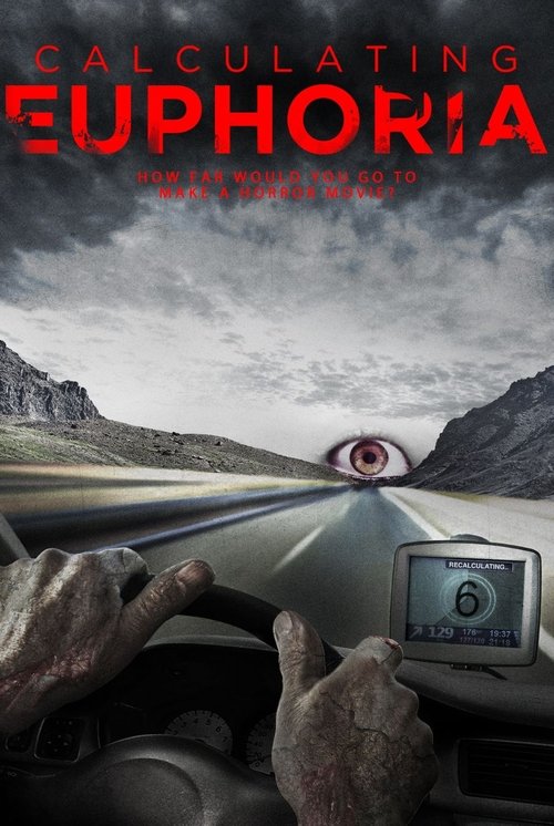 Calculating Euphoria — постер