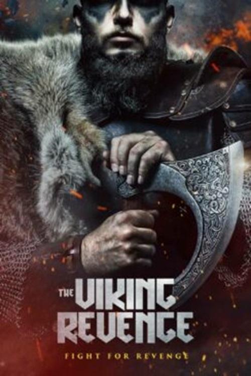 The Viking Revenge — постер