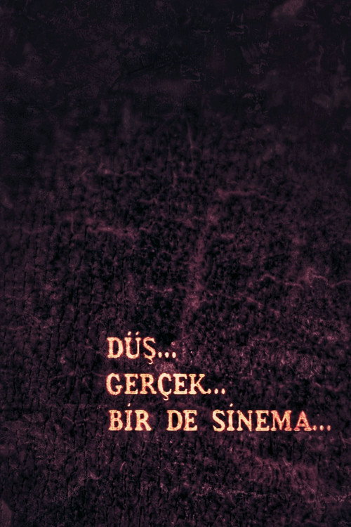 Düş, Gerçek, Bir de Sinema — постер