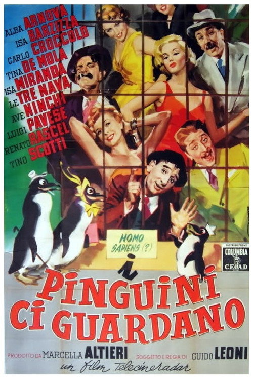 I pinguini ci guardano — постер