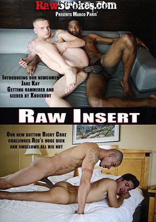 Raw Insert — постер