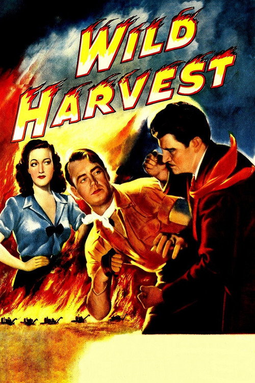 Wild Harvest — постер