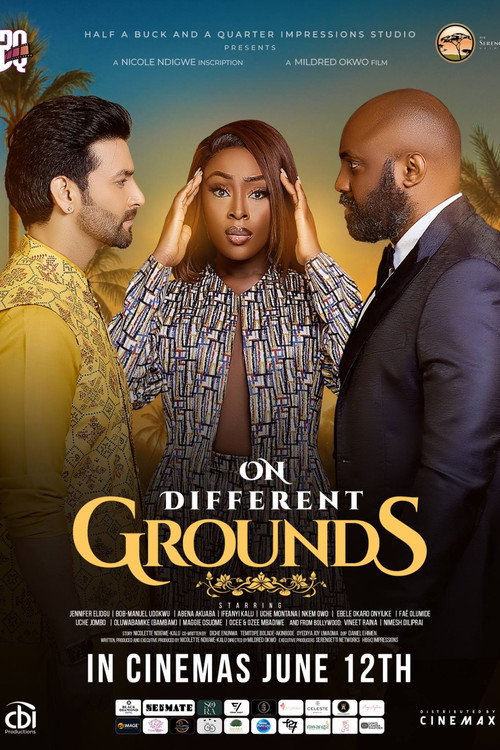 On Different Grounds — постер
