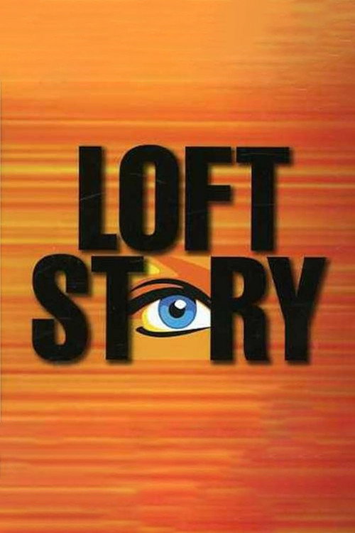 Loft Story — постер
