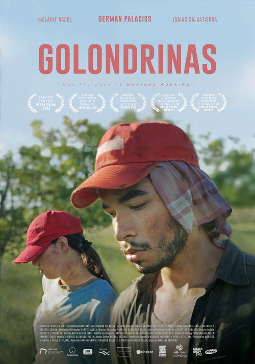 Golondrinas — постер