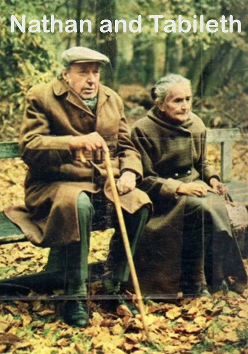 Nathan and Tabileth — постер