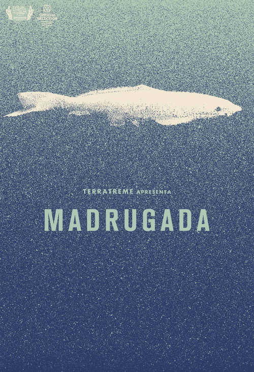 Madrugada — постер