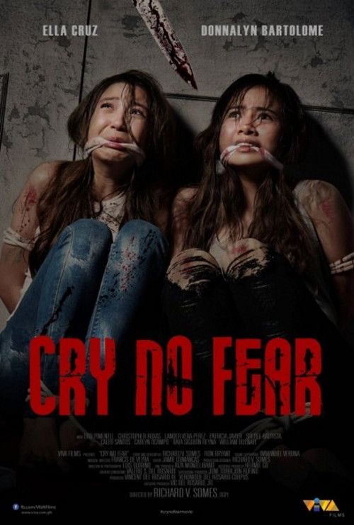 Cry No Fear — постер