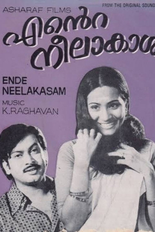 എന്റെ നീലാകാശം — постер
