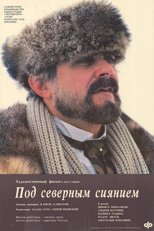 Под северным сиянием — постер