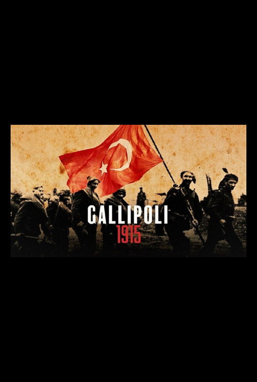 Gallipoli 1915 — постер