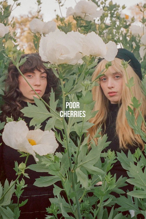 Poor Cherries — постер