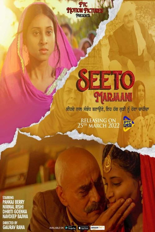 Seeto Marjaani — постер