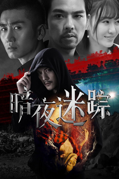 暗夜迷踪 — постер