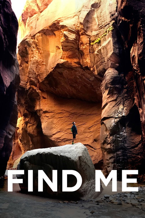 Find Me — постер