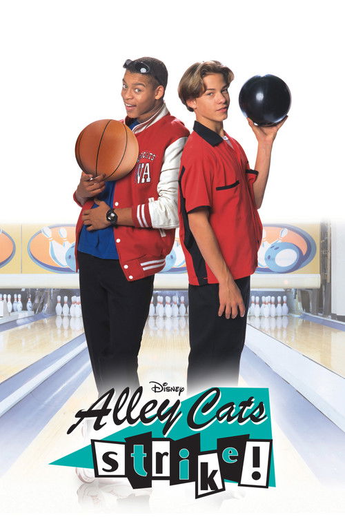 Alley Cats Strike — постер