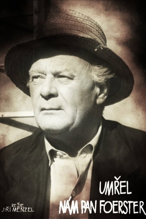 Umřel nám pan Foerster — постер
