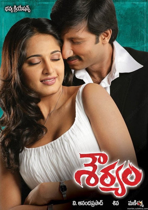 శౌర్యం — постер