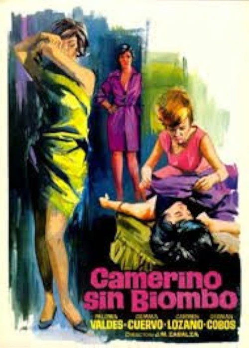 Camerino sin biombo — постер