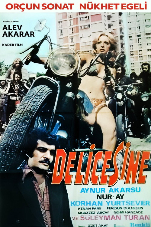 Delicesine — постер