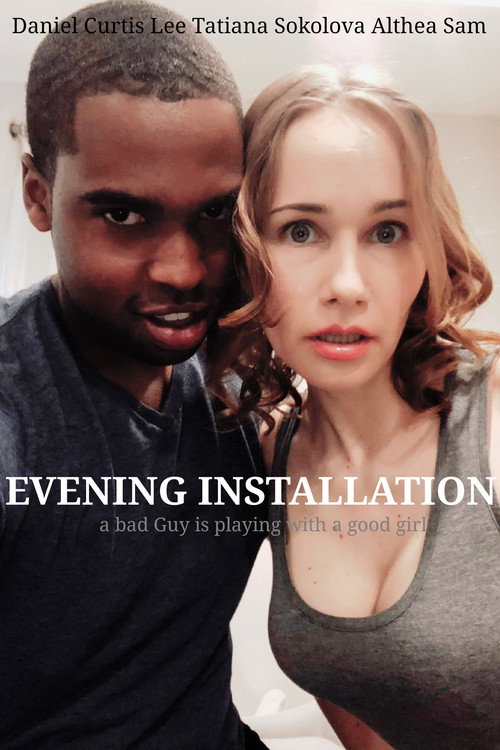 Evening Installation — постер