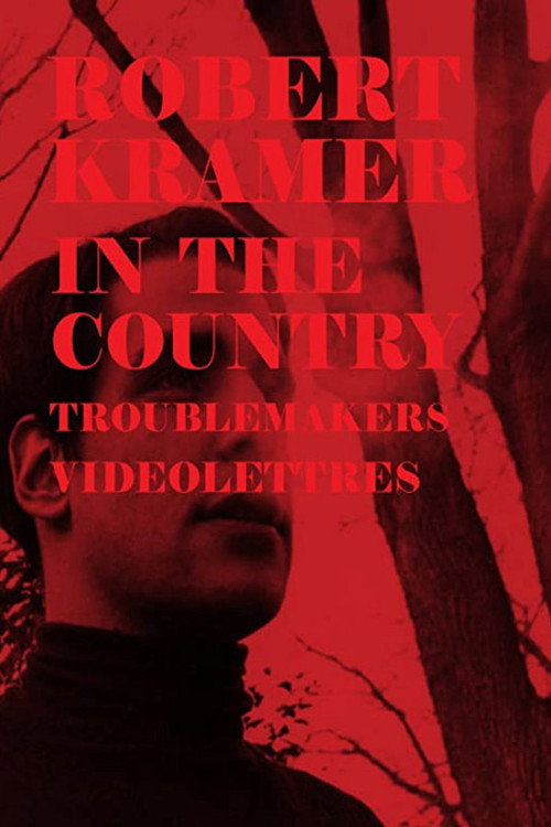 In the Country — постер