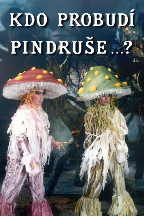 Kdo probudí Pindruše...? — постер
