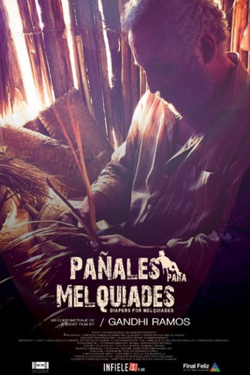 Pañales para Melquiades — постер
