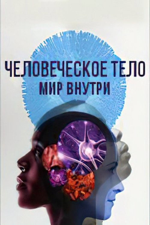 Человеческое тело: мир внутри — постер