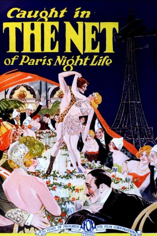The Net — постер