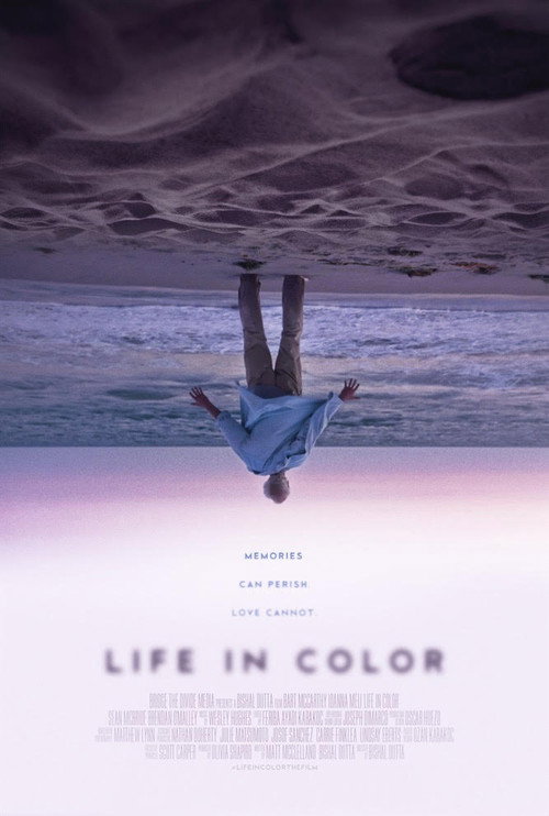 Life in Color — постер