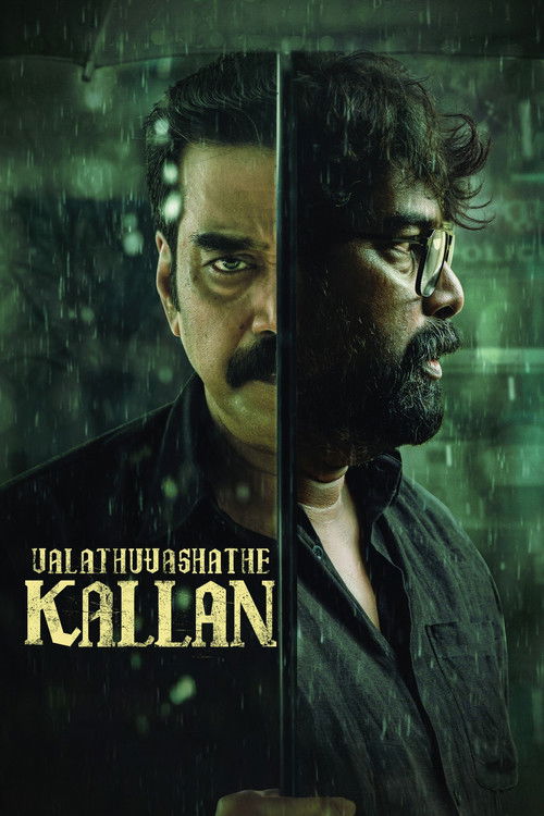 വലത് വശത്തെ കള്ളൻ — постер
