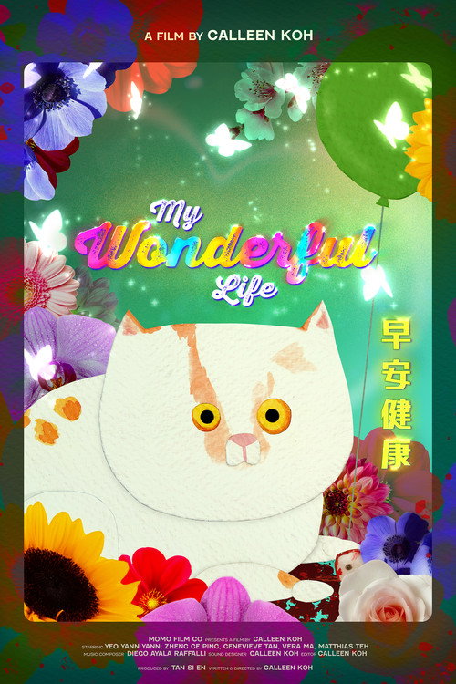 My Wonderful Life — постер