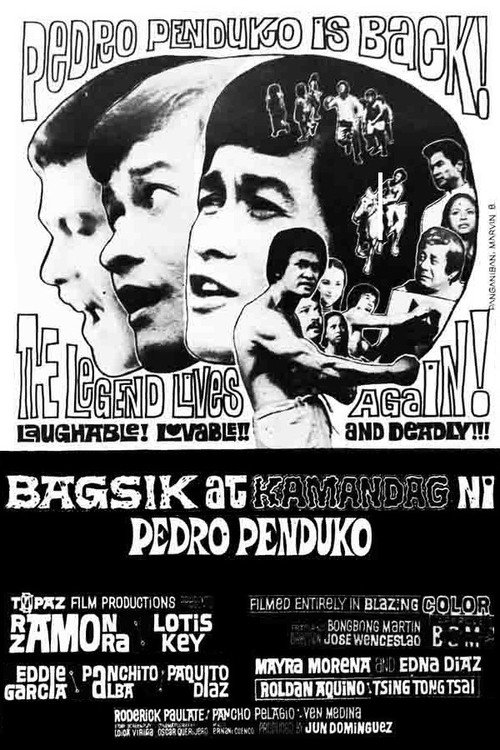 Bagsik At Kamandag Ni Pedro Penduko — постер