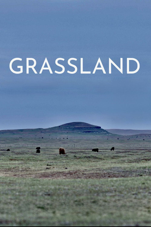 Grassland — постер