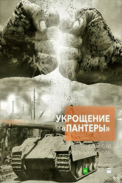 Укрощение «Пантеры» — постер