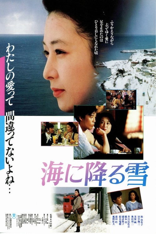 海に降る雪 — постер